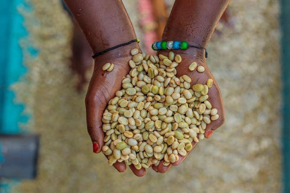 Sidama Bensa — Natural