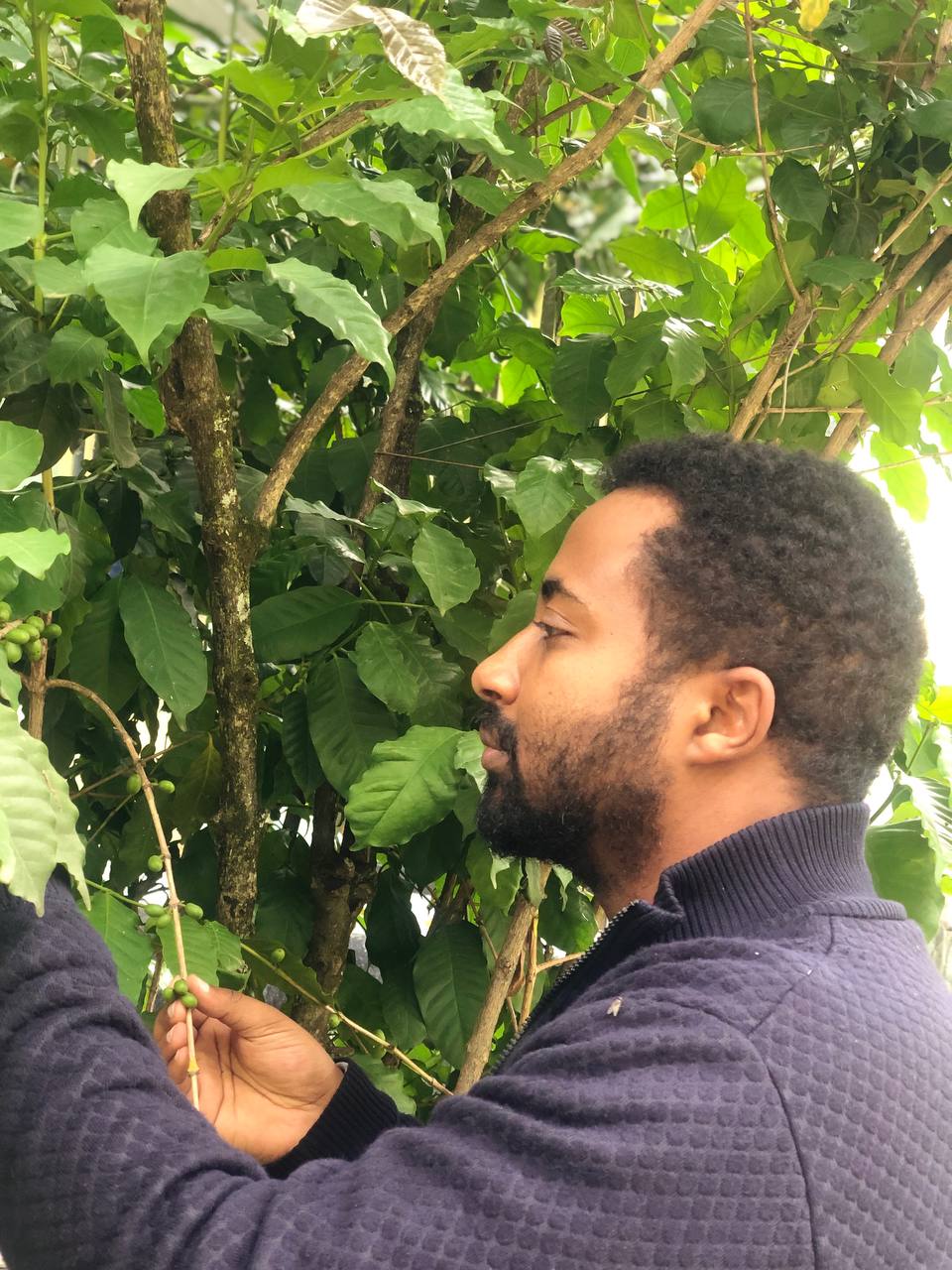 Why Traceability Is Shaping the Coffee Industry