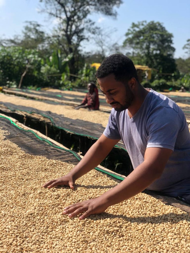 A traceable coffee exporter built from the ground up.
